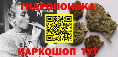 гашиш Ачхой-Мартан