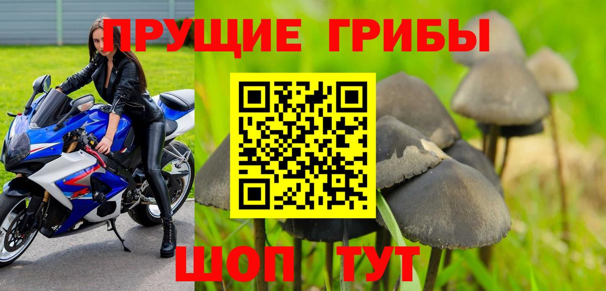 Псилоцибиновые грибы MAGIC MUSHROOMS Каменск-Шахтинский